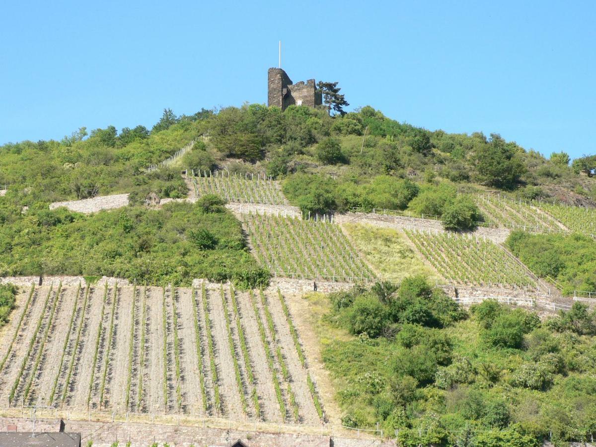 Gästehaus Cheval Blanc Lorch am Rhein Exteriör bild