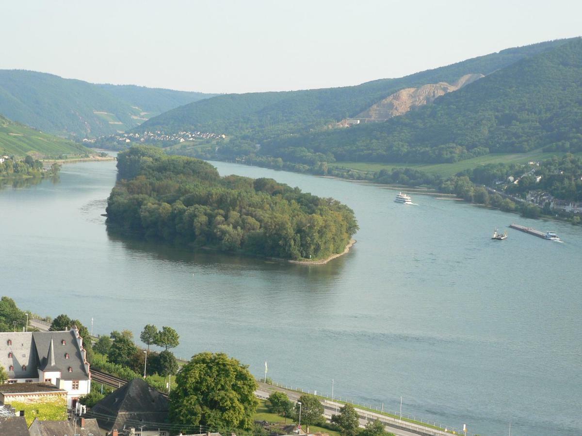 Gästehaus Cheval Blanc Lorch am Rhein Exteriör bild