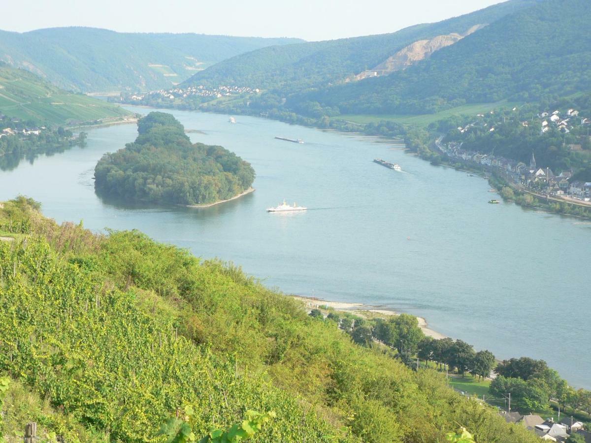 Gästehaus Cheval Blanc Lorch am Rhein Exteriör bild